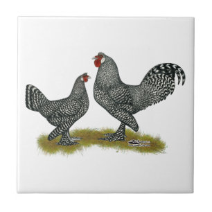 Breda Chickens Cuckoo Tile