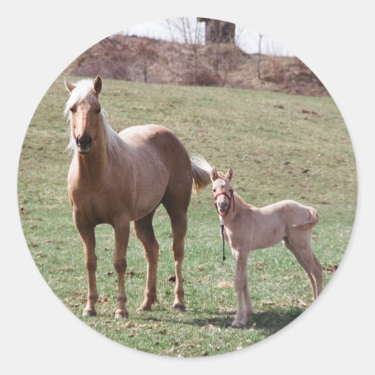 Bree & Jac Classic Round Sticker
