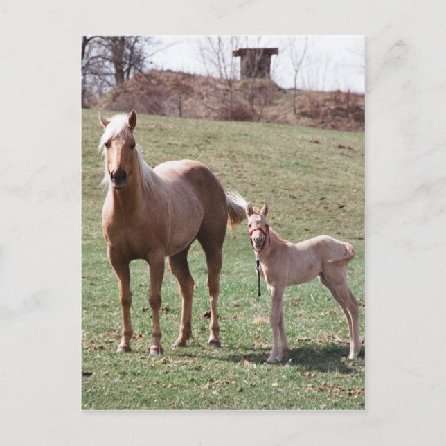 Bree & Jac Postcard (Front)