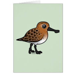 Spoon-billed Sandpiper breeding Greeting Card