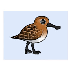 Spoon-billed Sandpiper breeding Postcard