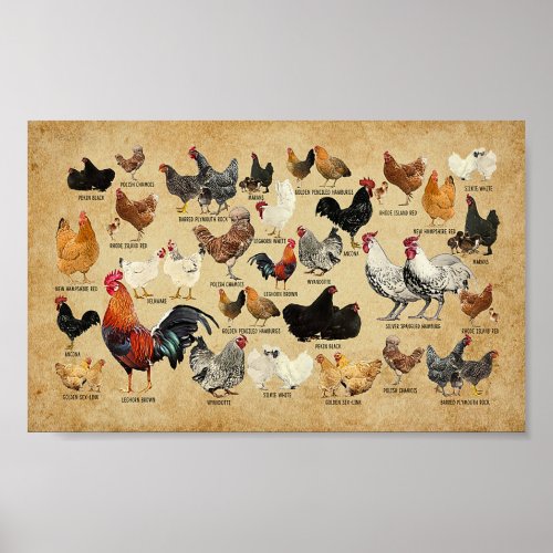 Breeds Of Chicken Vintage Farmer Poster