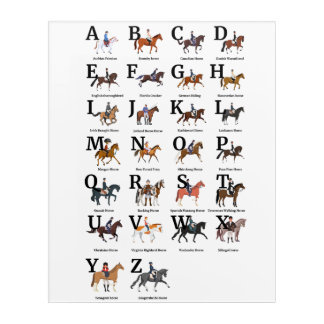 Breeds Of Horse Alphabetically Acrylic Print