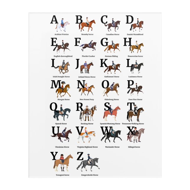 Breeds Of Horse Alphabetically Acrylic Print (Front)
