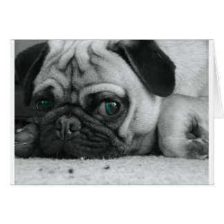 breena pic cards