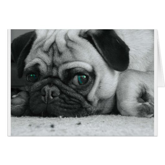breena pic cards (Front Horizontal)