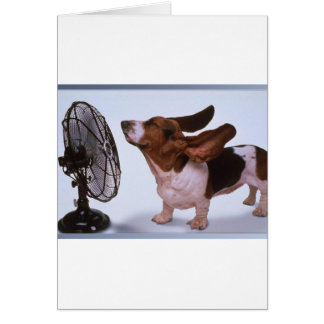 Breeze -Dog and Fan Cards