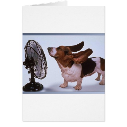 Breeze -Dog and Fan Cards (Front)