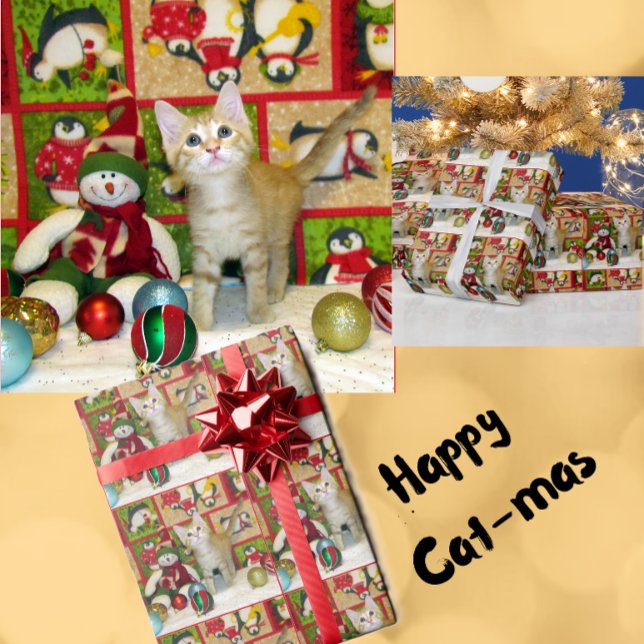 Breezy The Cat - Christmas Wrapping Paper Roll (Creator Uploaded)