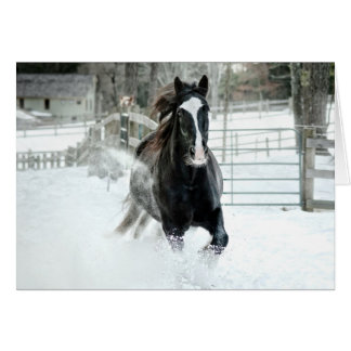 Brenda Lee Running Winter Cards