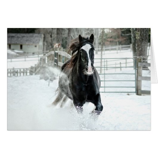 Brenda Lee Running Winter Cards (Front Horizontal)