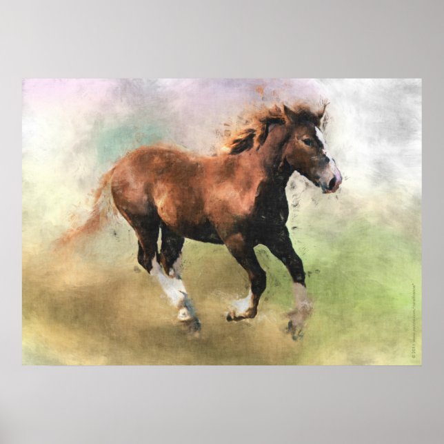 Breton draft horse foal print (Front)