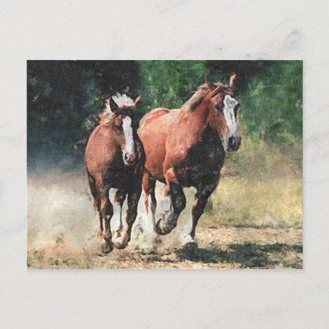 Breton draft horses postcard (Front)