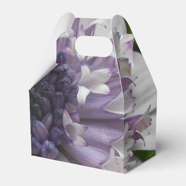 Brett Favor Boxes (Front Side)