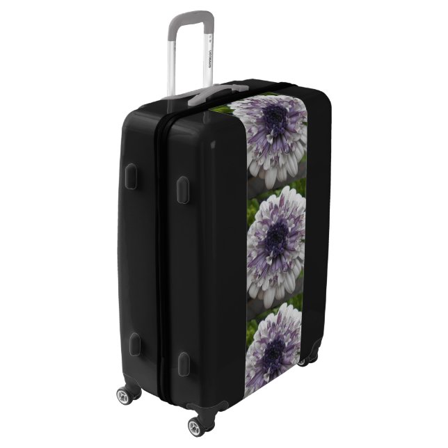 Brett Luggage (Rotated Left)