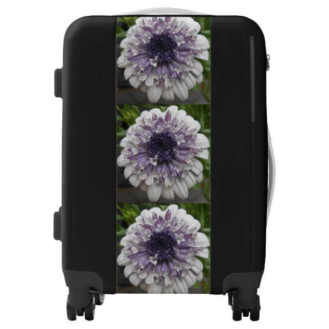 Brett Luggage (Front)