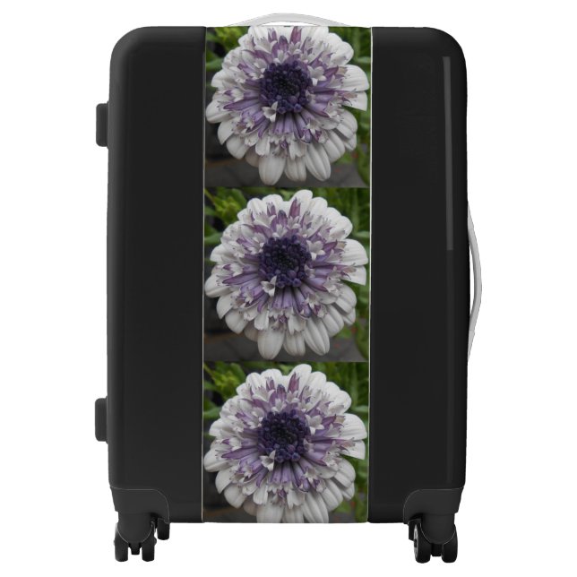 Brett Luggage (Front)