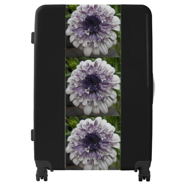 Brett Luggage (Front)