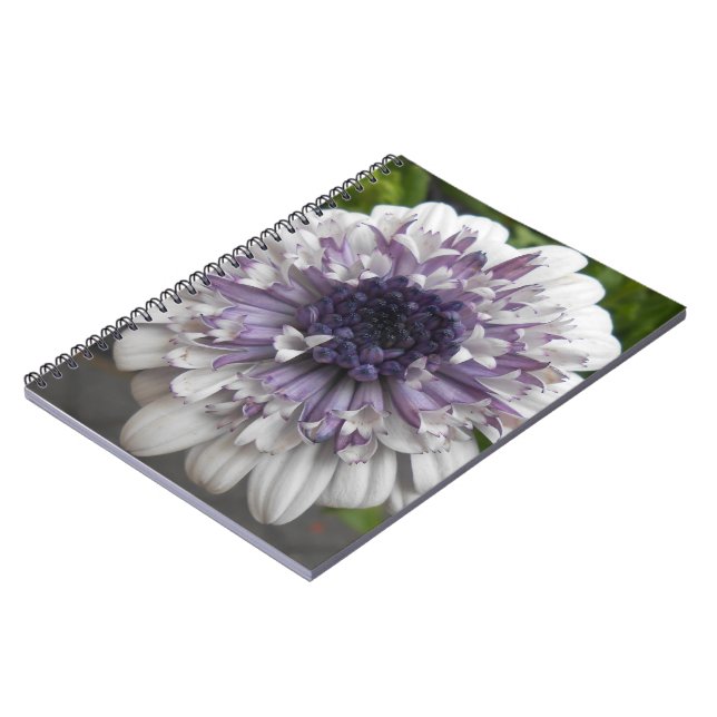 Brett Notebook (Left Side)
