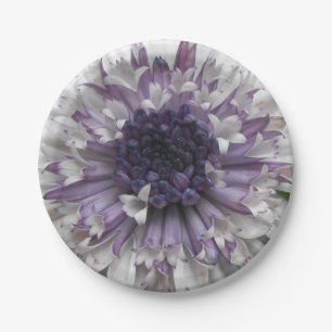 Brett Paper Plates