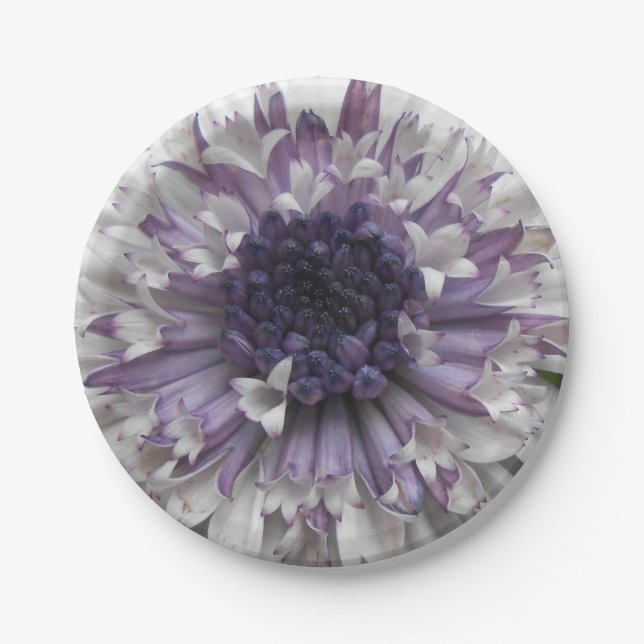 Brett Paper Plates (Front)