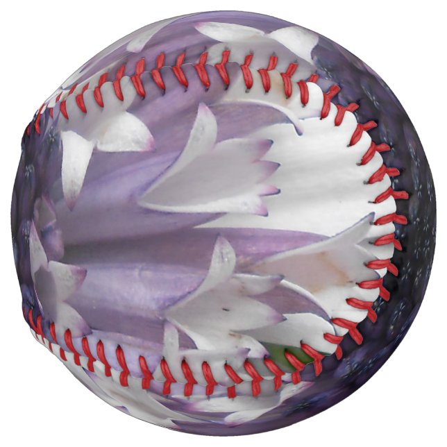 Brett Softball (Front Right)