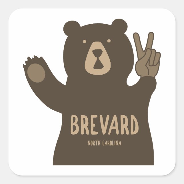 Brevard North Carolina Peace Bear Square Sticker (Front)