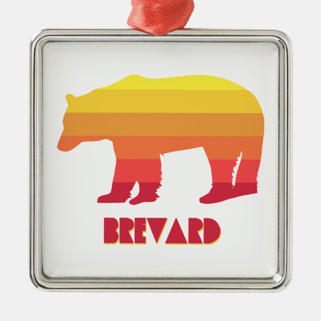 Brevard North Carolina Rainbow Bear Metal Ornament (Front)