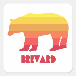 Brevard North Carolina Rainbow Bear Square Sticker