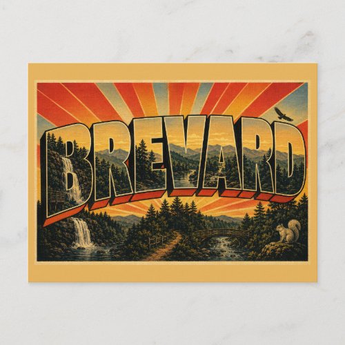 Brevard North Carolina Waterfalls Forest River Art Postcard