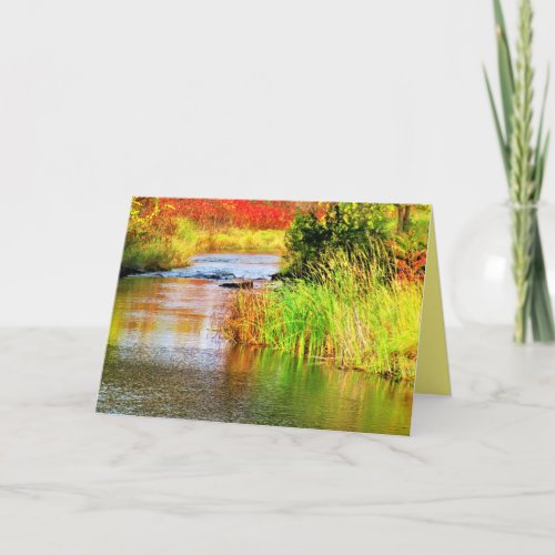 Brewery Creek in Autumn Sunny Day Scenic Card