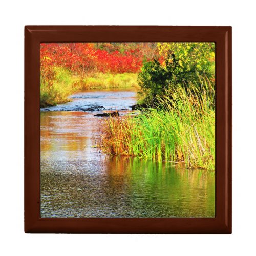 Brewery Creek in Autumn Sunny Day Scenic Gift Box