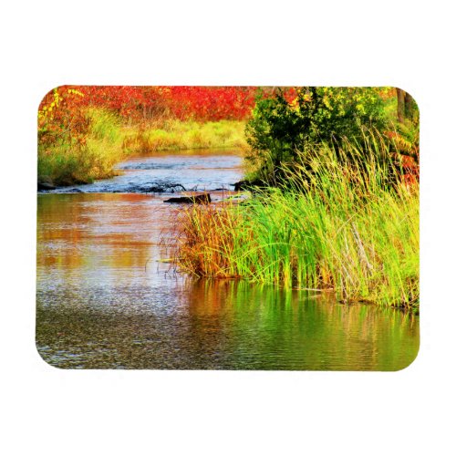 Brewery Creek in Autumn Sunny Day Scenic Magnet