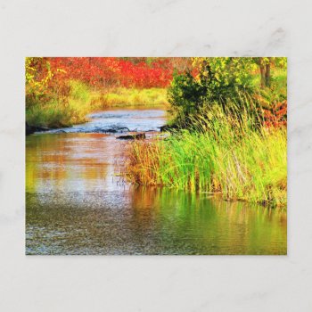 Brewery Creek In Autumn Sunny Day Scenic  Postcard by M_Sylvia_Chaume at Zazzle