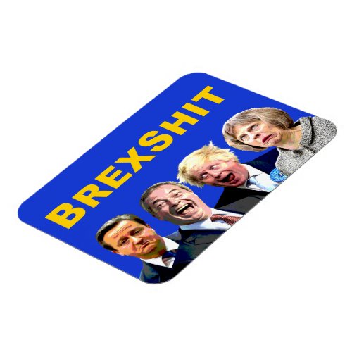 BREXSHIT funny anti Brexit referendum message Magnet