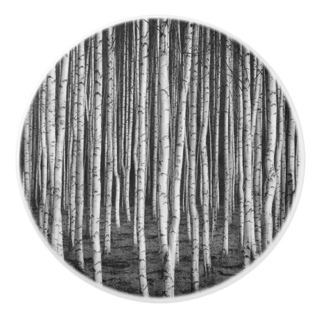 Brezový grove birch trees, russia ceramic knob (Front)