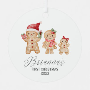 Brianna Personalized Baby's First Christmas Metal Ornament