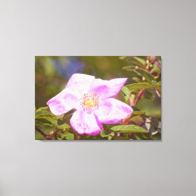 Briar Rose Canvas Print (Front)