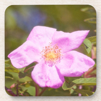 Briar Rose Coaster
