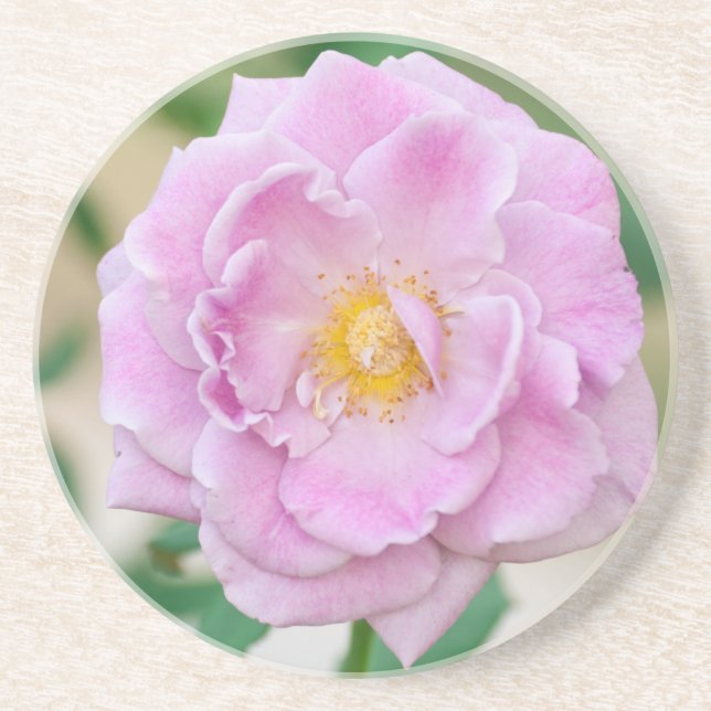 Briar Rose Drink Coaster (Front)