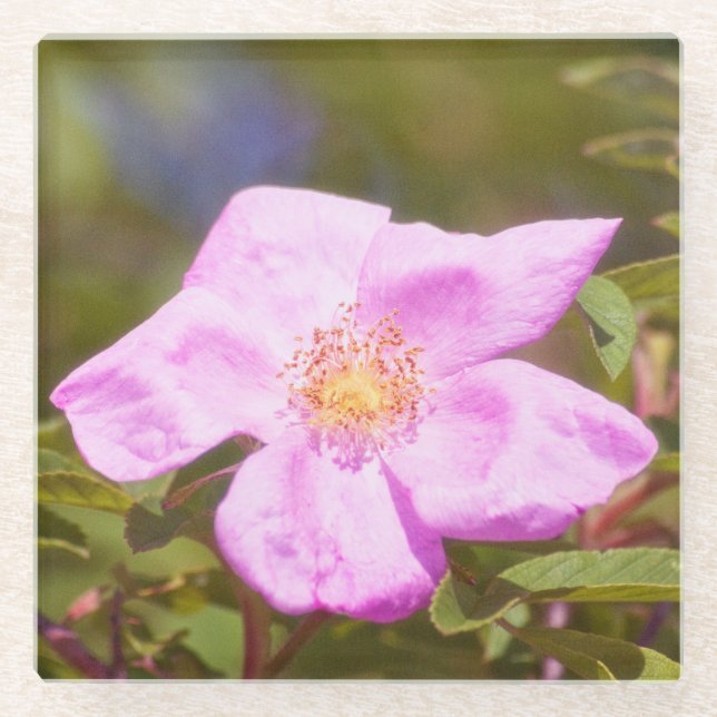Briar Rose Glass Coaster (Front)