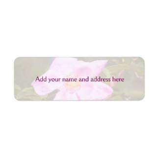 Briar Rose Label