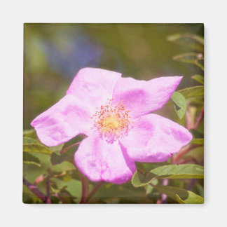 Briar Rose Magnet