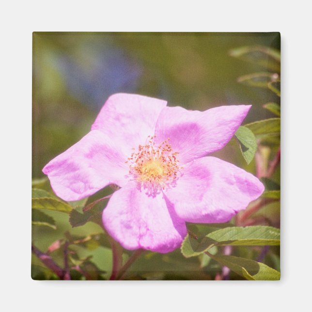 Briar Rose Magnet (Front)
