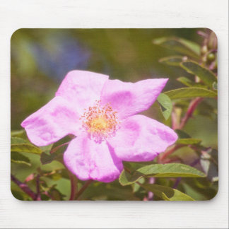 Briar Rose Mouse Pad