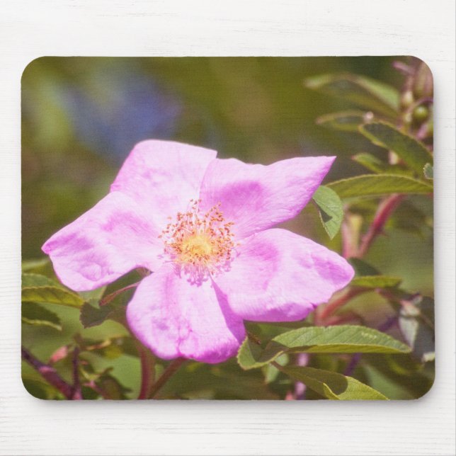 Briar Rose Mouse Pad (Front)