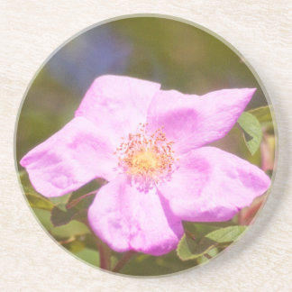 Briar Rose Sandstone Coaster
