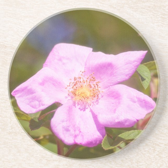 Briar Rose Sandstone Coaster (Front)