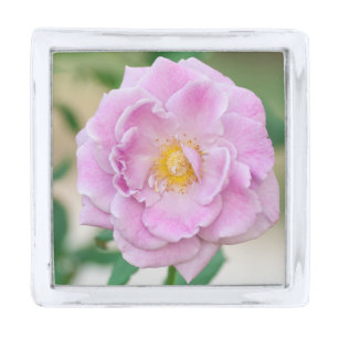 Briar Rose Silver Finish Lapel Pin