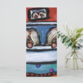 Briard bathtime (Standing Front)